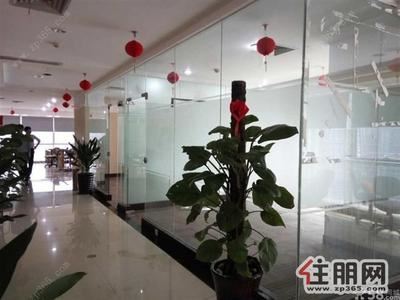 青秀区-五象【地王国际】精装修510平65块