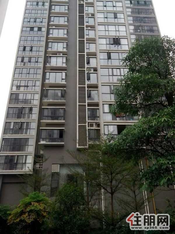 兆安现代城精装2房出租.文雅小区期待您的