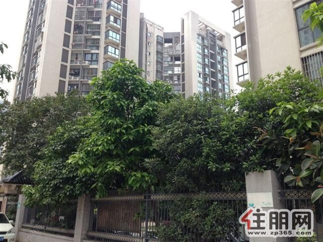 兆安现代城精装2房出租.文雅小区期待您的