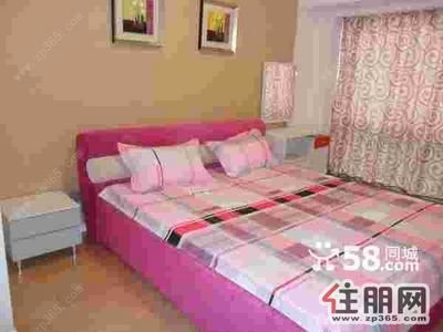 青秀区,茶花园路【大地华城】一房一厅租出1900