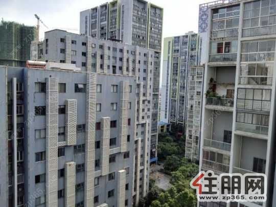 万达广场附近阳光100城市广场***3房拎包入住