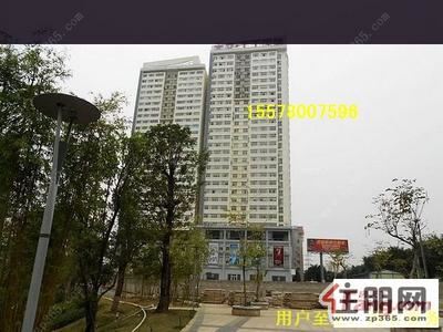 青秀区，金湖广场旁TT国际精装写字楼175平