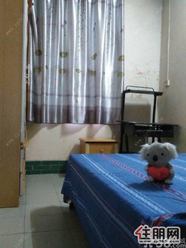 东环路2室2厅低价出租