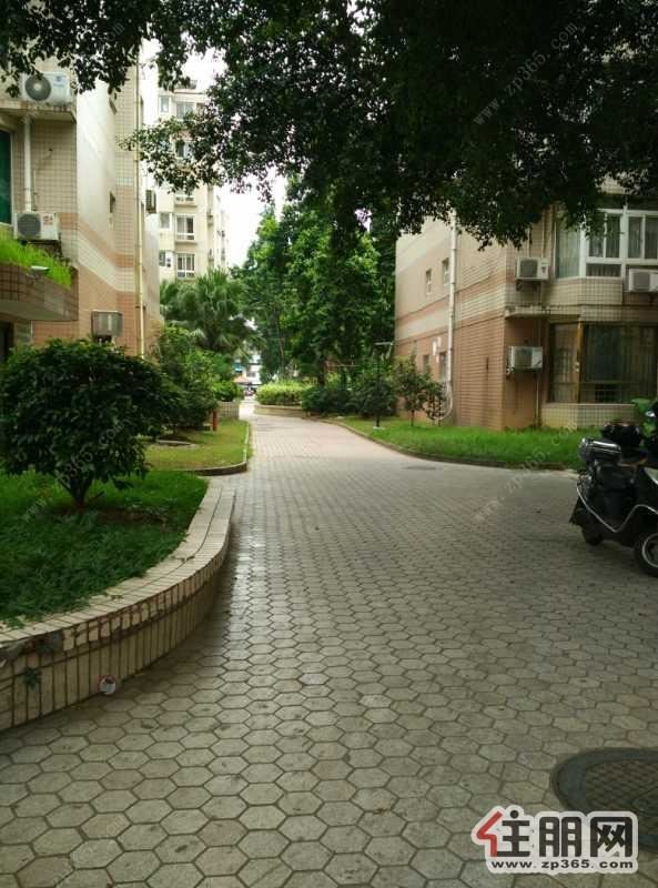 鱼峰区白云路华庭苑精装3房2厅家电家具齐