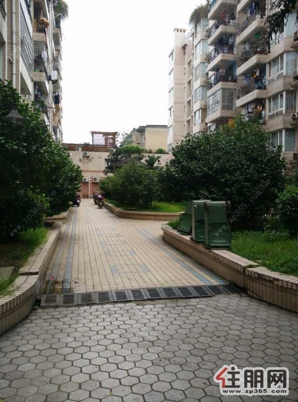 鱼峰区白云路华庭苑精装3房2厅家电家具齐