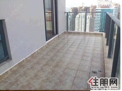 青秀区，东葛路高档小区荣和中央公园大气楼中楼出租
