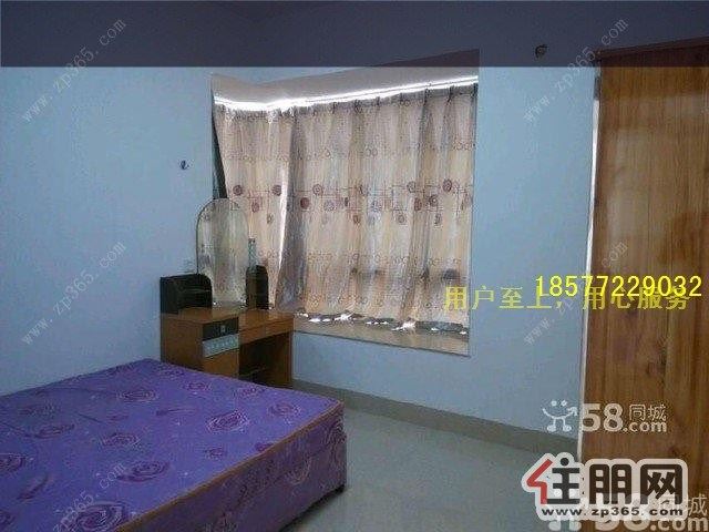 高新区金盛广场2室2厅87平米精装修家电