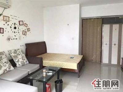 青秀区-希尔顿阳光旁城市杰座一房一厅***修拎包入住