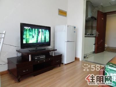 柳东新区,阳光100公寓1室1厅36平米精装修家电