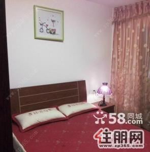 青秀区-园湖民主路口电网公司宿舍三房急租20