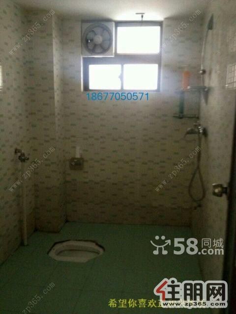 【精装房,真实图片】西大对面、嘉汇馨源3