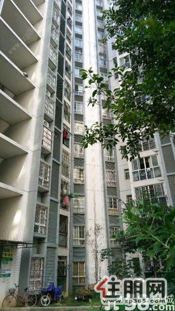 柳北胜利小区温馨2房急租,干净家具全有拎