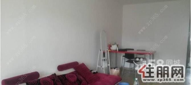 柳东新区，阳光100城1室1厅50平米豪华装修押二