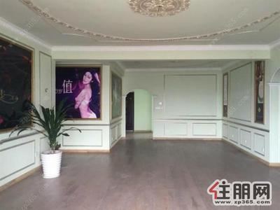 青秀区-青秀万达旁长湖路,长湖景苑,460平8房4厅,办公带车位