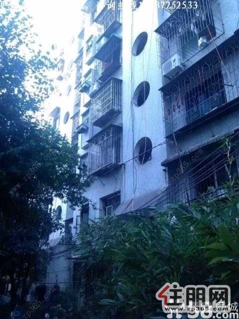 【雅儒路-丽江新村】▊精装3房有停车看管