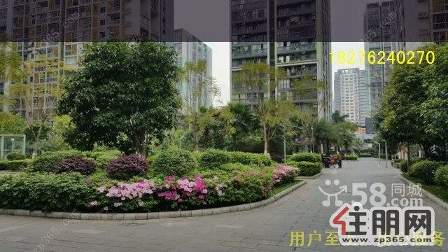 高新区兆安东郡旁【阳光100】精装齐配3