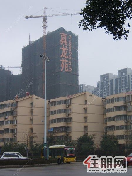 真龙苑4室2厅125平米毛坯押一付三(个