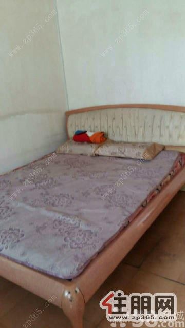 西船大院3室1厅75平米中等装修押二付一