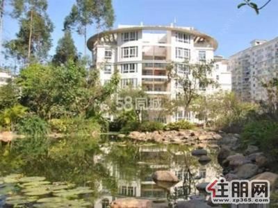 青秀区-东盟商务区翡翠园5房楼中楼空房出租莱茵湖畔汇东郦城苹果园旁