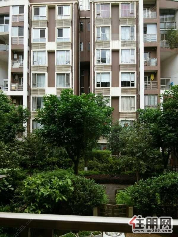 鱼峰区东环路华林君邸全新房子还未入住豪华