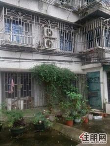 城中区-城中曙光东路东门商住楼环境安逸精品装修黄