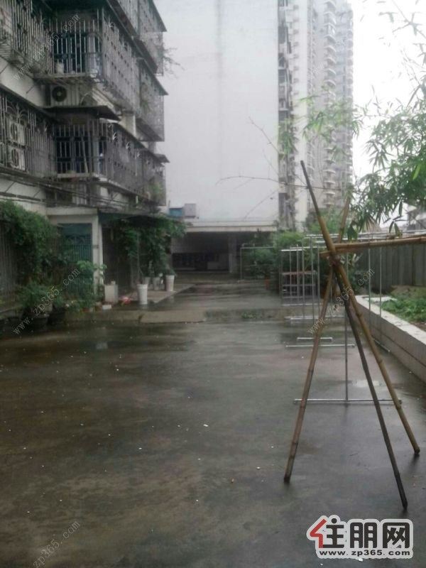 城中曙光东路东门商住楼环境安逸精品装修黄