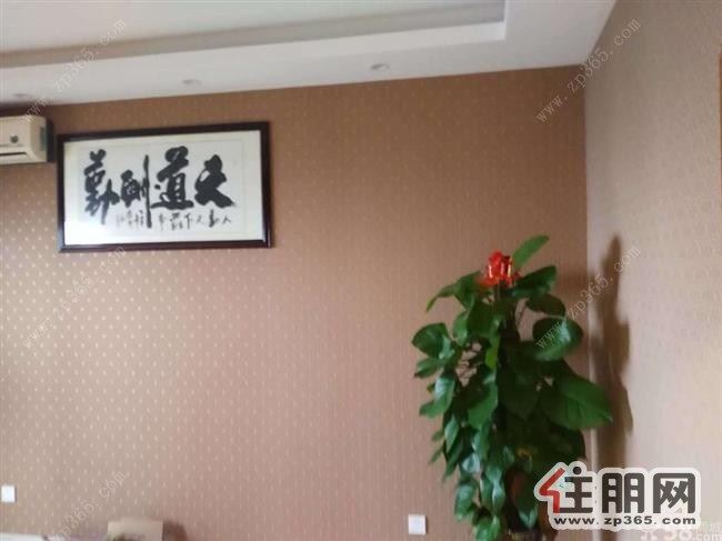 急租盛世龙腾2000元1室1厅1卫