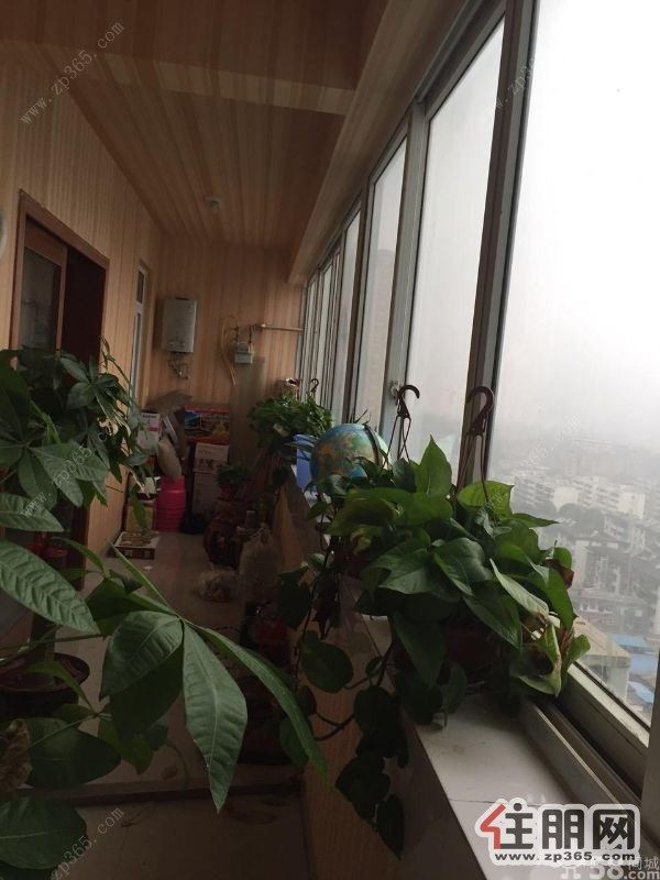 盛世龙腾2000元1室1厅1卫简单