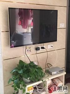 柳东新区-文源华都标准一房一厅家电家具齐全