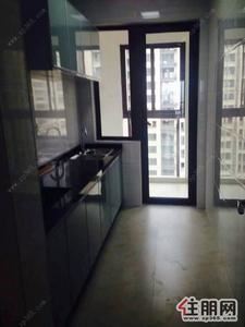 柳东新区-万达广场3室2厅精装修房