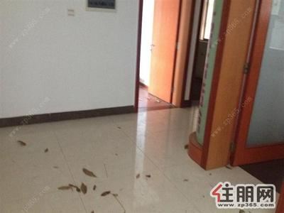 青秀区-南湖周边绿城画卷180平商住楼出租