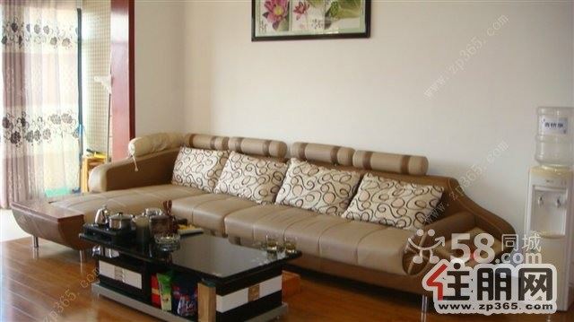 高新区新人民医院对面豪华装修靓房【南亚名