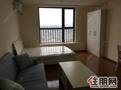 钦北区-市中心,东风市场,精装修朝向南1室1厅1