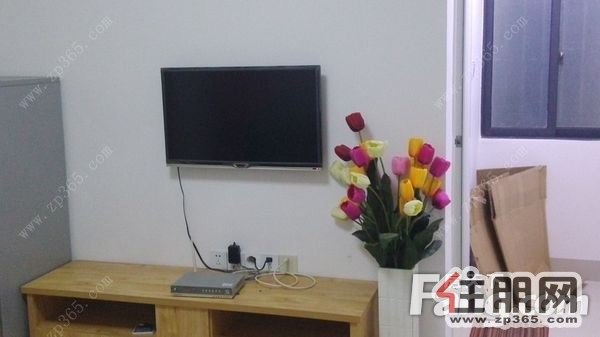 全新家私电器精装修便宜出租,适合附近上