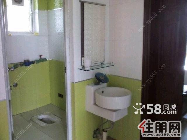 柳北跃进路世博·豪庭一房一厅精装修拎包