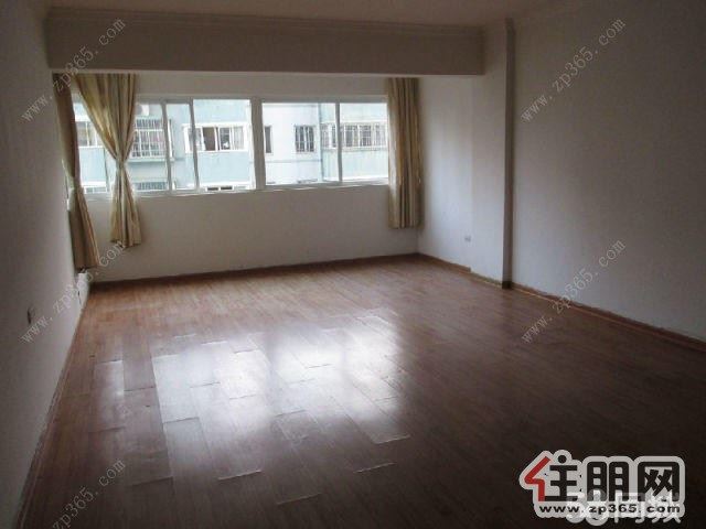 城中【金泰苑】【大厅面积超大空房】东方百