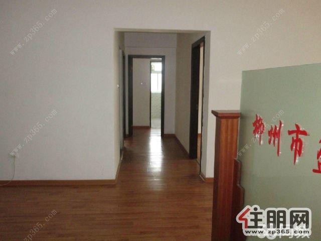 城中【金泰苑】【大厅面积超大空房】东方百