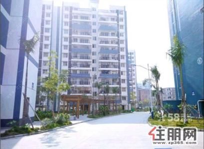 北湖路,鲁班路金水湾花园118平米新房首租商