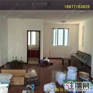 青秀区-凤岭北财富国际广场5室2厅165平米简单
