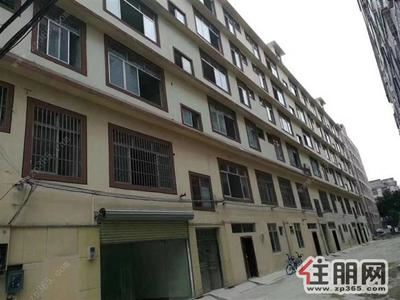 中心区-大润发附近全新房屋首次出租,拎包入住单间500/月