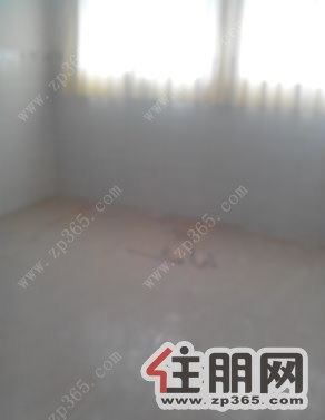 江北大道河堤路自建房整栋出租总共5