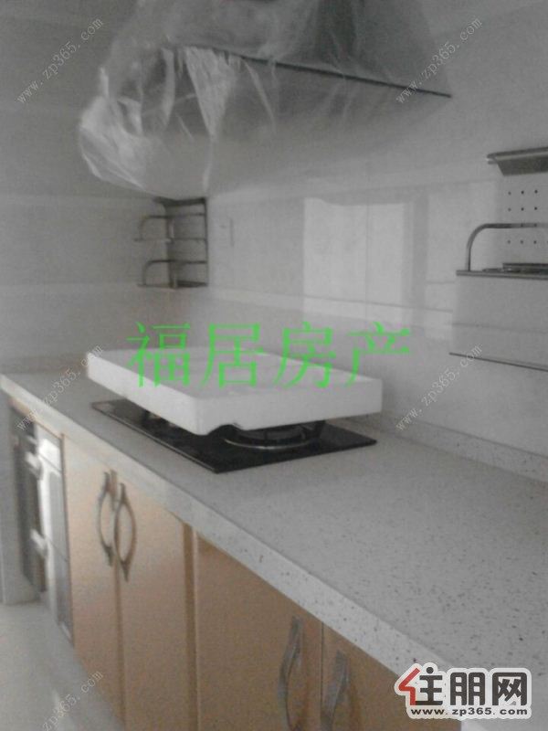 唐人街1500元2室2厅1卫精装修