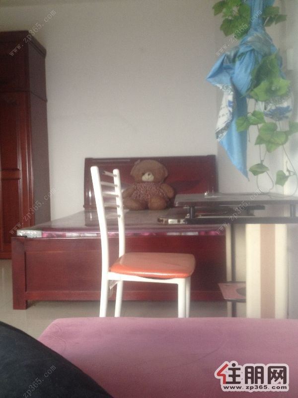 大城小院1700元2室2厅1卫普通