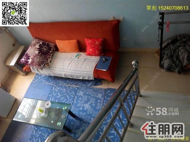 青年国际1300元1室1厅1卫普通装修全