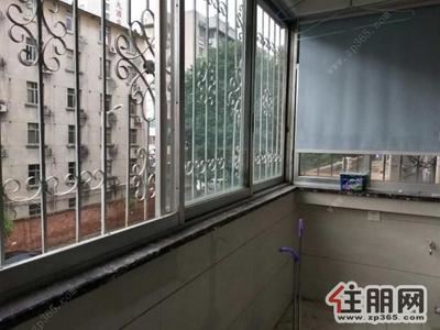 青秀区-东葛路财政局旁小高层，170平宽敞大气办公豪宅，来电即看