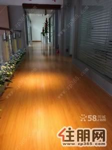 城中区，(出租)阳光100复式写字楼-450平-