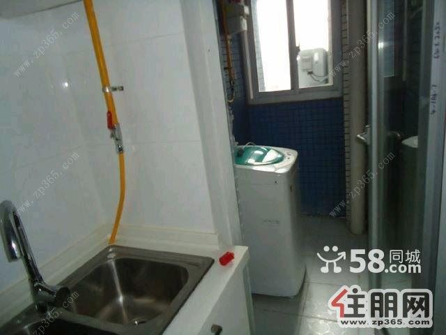 高新区阳光100城1室1厅1卫押一付三1