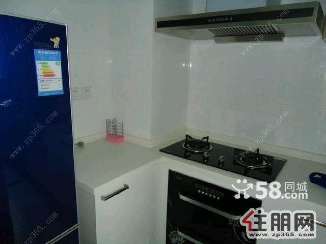 高新区阳光100城1室1厅1卫押一付三1