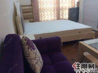 岳麓区-小区唯一欧式豪华装修朝南户型采光通透明亮