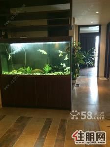青秀区-现代国际210平米，精装修，户型方位视野
